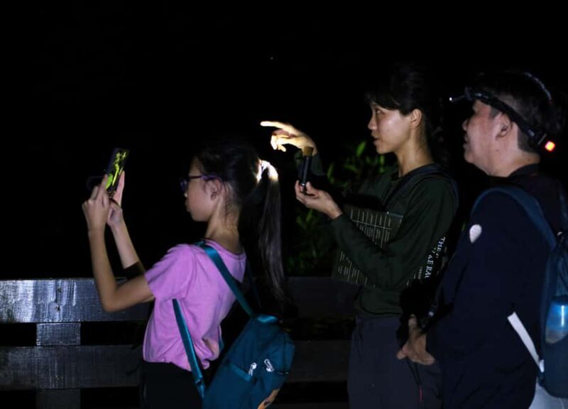 Singapore: Night Mangrove Wildlife Walk - Final Thoughts