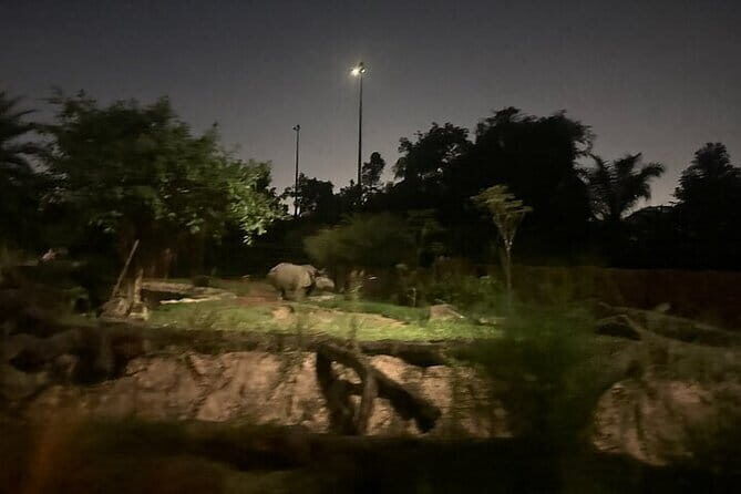 Singapore Night Safari - The Sum Up: Is the Singapore Night Safari Worth It?