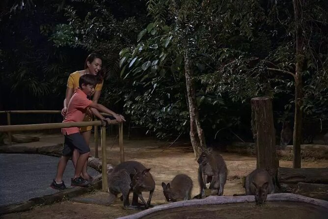 Singapore Night Safari Admission ( World'S First Nocturnal Park) - Lowest Price Guarantee for Affordability