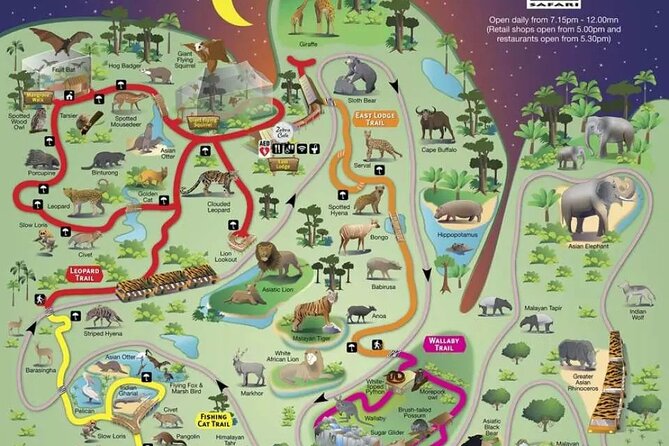 Singapore Night Safari Admission ( World'S First Nocturnal Park) - The Sum Up