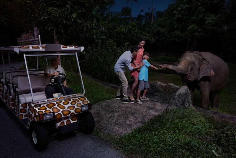 Singapore: Night Safari and Tram Ride Ticket - Good To Know