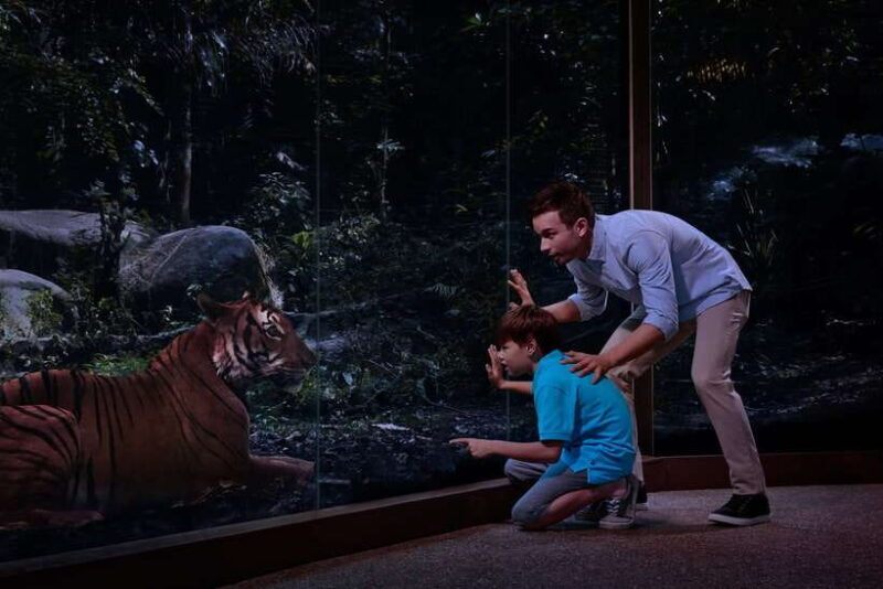 Singapore: Night Safari and Tram Ride Ticket - Practical Details and Logistics