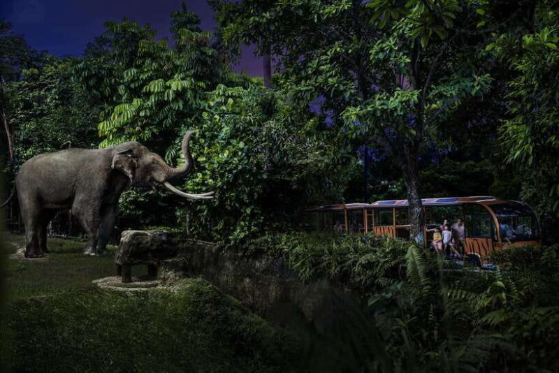 Singapore: Night Safari and Tram Ride Ticket - Introduction: An Authentic, Nighttime Animal Adventure
