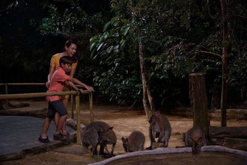 Singapore: Night Safari and Tram Ride Ticket - FAQs