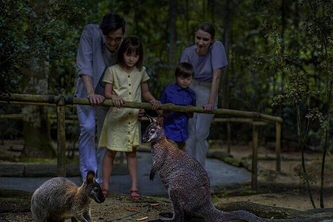 Singapore Night Safari Entrance Ticket with Tram Ride - The Sum Up