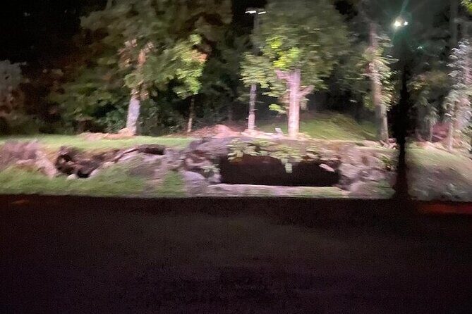 Singapore Night Safari Entrance Ticket with Tram Ride - An In-Depth Look at the Singapore Night Safari