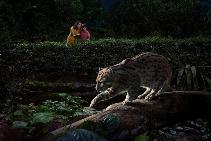 Singapore: Night Safari Singapore w/ Tram - Who Will Love This Experience?