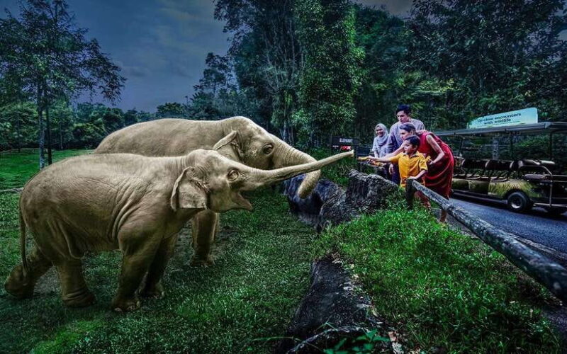 Singapore: Night Safari Singapore w/ Tram - Why Choose the Night Safari?