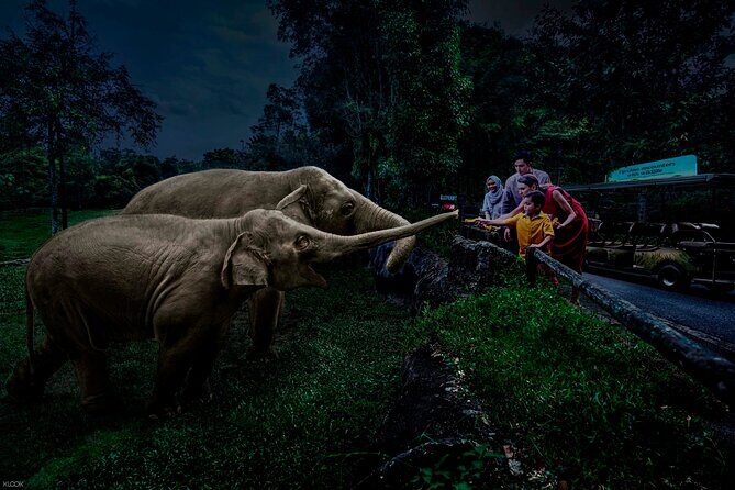 Singapore Night Safari Ticket Experience - Good To Know