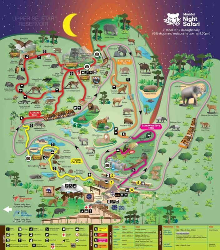 Singapore: Night Safari with Tram Ride and Private Transfer - Final Thoughts