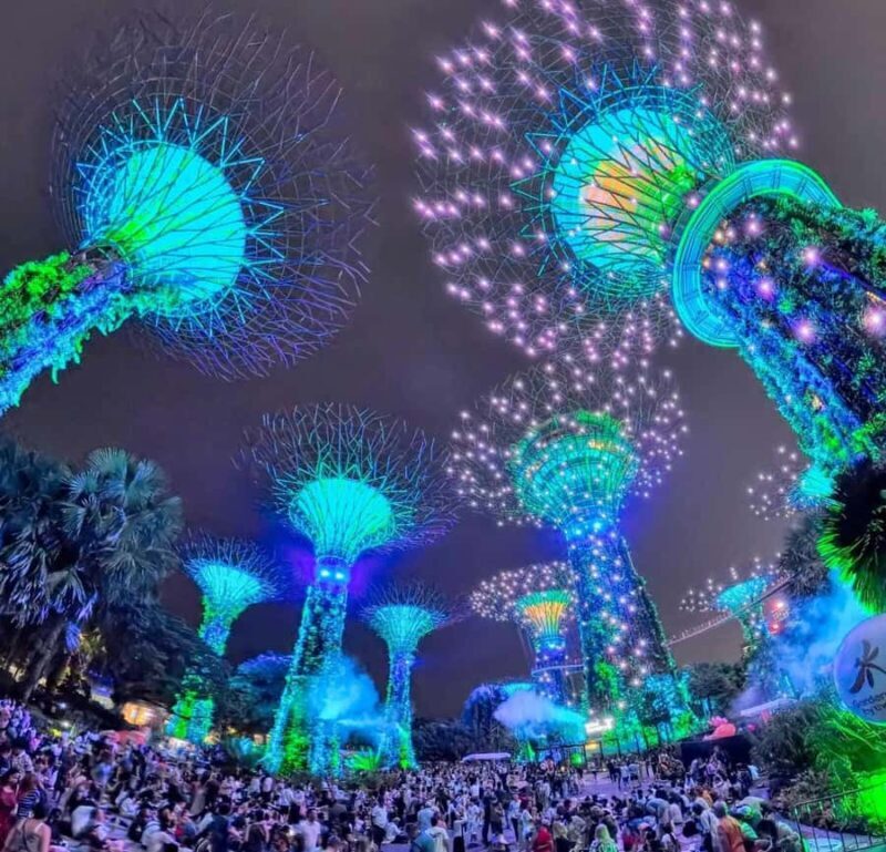 Singapore: Night Walking with 6 Food Tastings & Light shows - Good To Know