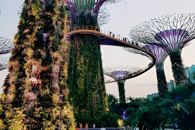 Singapore OCBC Skyway Flower dome Cloud Forest Garden by the Bay - Good To Know