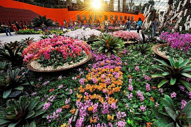 Singapore OCBC Skyway Flower dome Cloud Forest Garden by the Bay - The Sum Up
