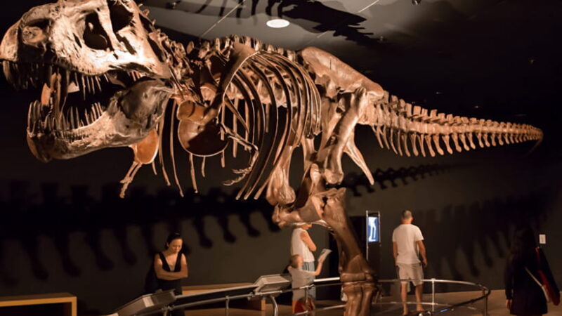 Singapore: Omni Theatre IMAX Show Admission Ticket - What You Can Expect at Singapore’s Omni Theatre