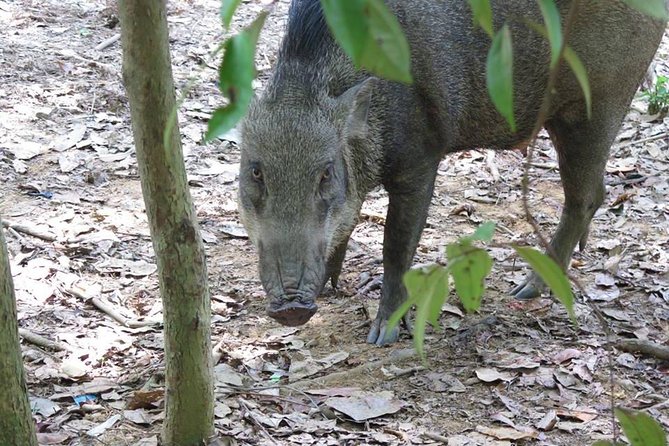 Singapore Paddle to Pedal Adventure in Pulau Ubin - Additional Information for Travelers