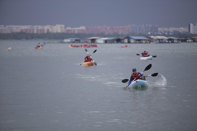 Singapore Paddle to Pedal Adventure in Pulau Ubin - Tips for a Successful Singapore Adventure