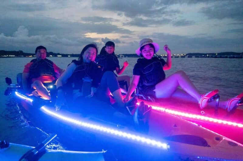Singapore: Pasir Ris Park LED Night Kayak Tour with Mussels - Wildlife Encounters and Ecological Insights