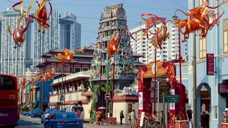 Singapore: Private 3-4-6-8 Hour Customized Singapore Tour - Final Thoughts: Who Should Book This Tour?