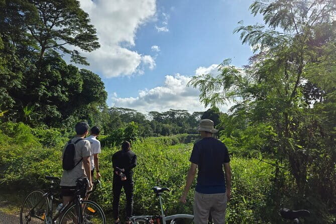 Singapore Private Brompton Bike City Tour - A Deep Dive into the Singapore Brompton Bike Tour