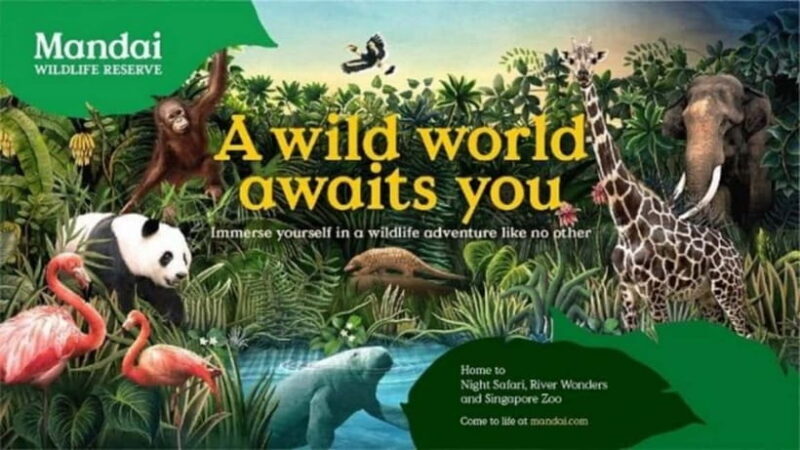 Singapore: Private Customizable Tour with Local Guide - Authentic Experiences & Reviewer Insights