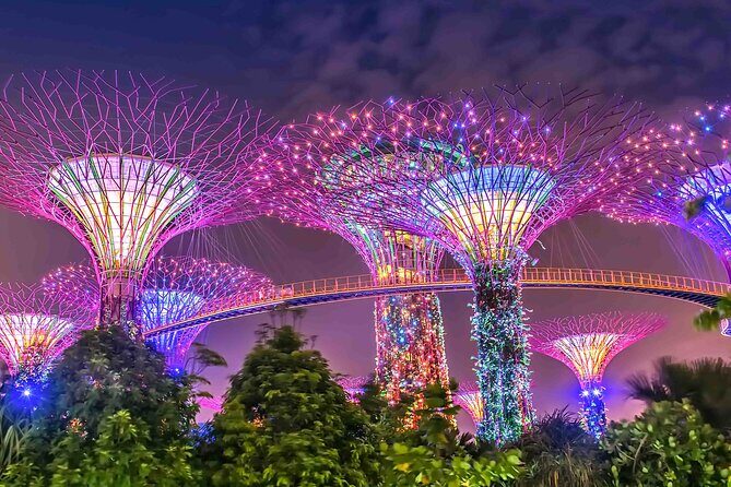 Singapore Private Customized City Tour with Driver - Practical Details: What to Expect