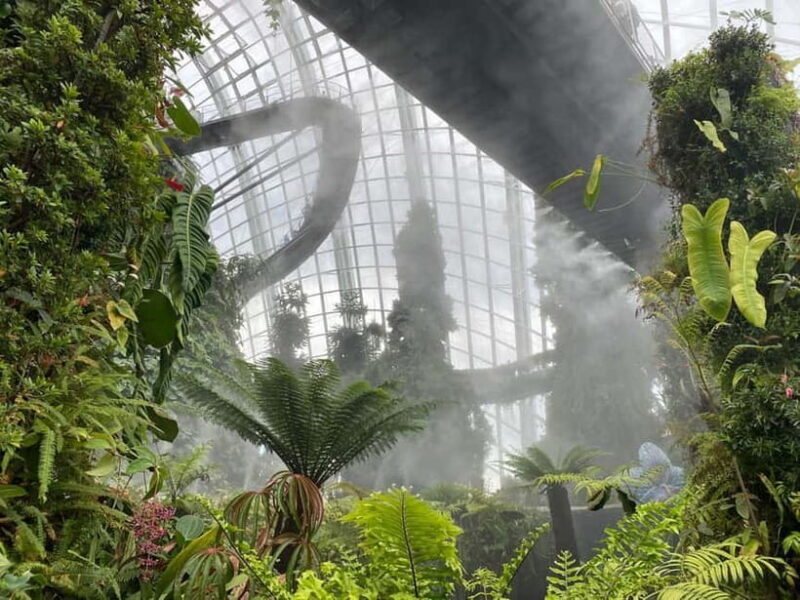 Singapore: Private Customized Tour with transportation - The Experience: What Sets This Tour Apart