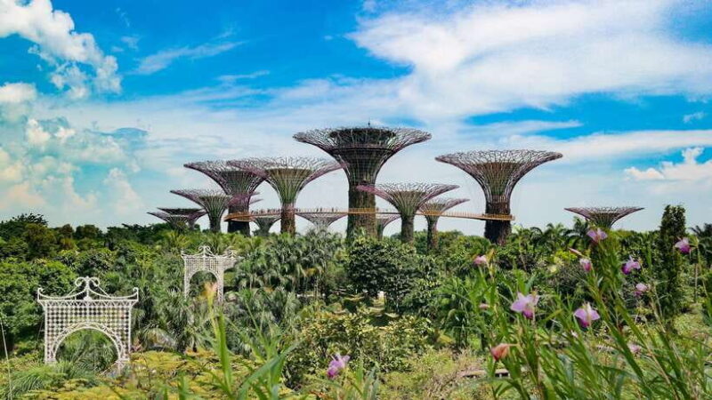 Singapore: Private Flexible Tour with a Licensed Local Guide - Why Choose the Singapore Private Flexible Tour?