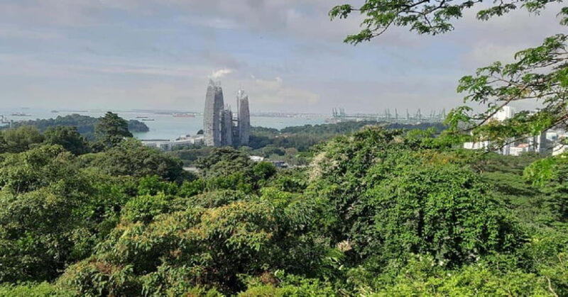 Singapore: Private Full-Day Island Tour - Introduction to the Tour Experience