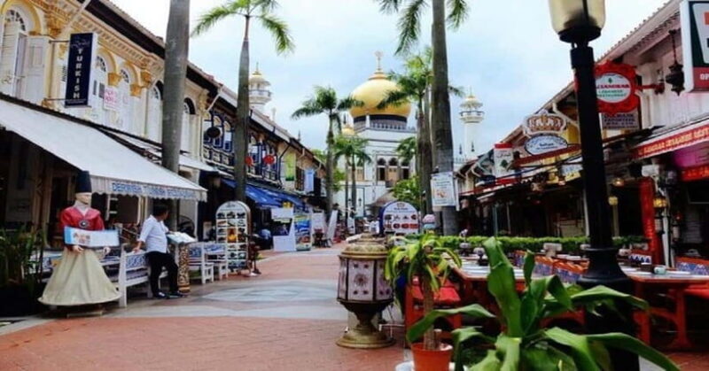 Singapore: Private Full-Day Island Tour - Transportation and Practical Details