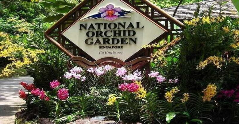 Singapore: Private Full-Day Island Tour - The Sum Up: Is This Tour Worth It?