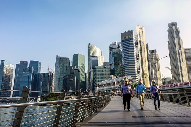 Singapore Private Full-Day Sightseeing Tour - The Sum Up