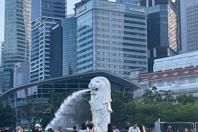 Singapore Private Mercedes City Tour With GBB and Skypark - Highlights of the Gardens by the Bay (GBB)