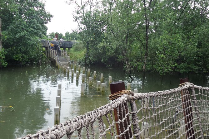 Singapore Private Sungei Buloh Wetland Reserve Tour - Biodiversity at Sungei Buloh