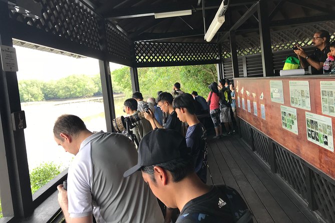 Singapore Private Sungei Buloh Wetland Reserve Tour - Migratory Bird Season