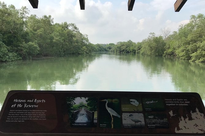 Singapore Private Sungei Buloh Wetland Reserve Tour - Cancellation Policy