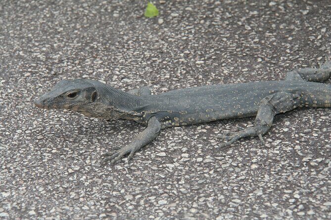 Singapore Private Tour with a Driver - FAQ