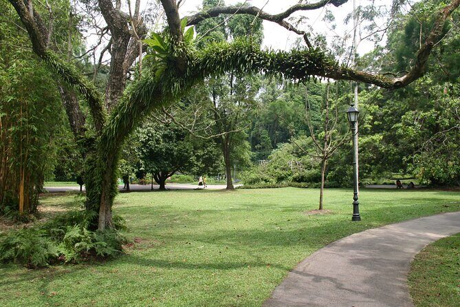 Singapore Private Tour with a Driver - Frequently Asked Questions