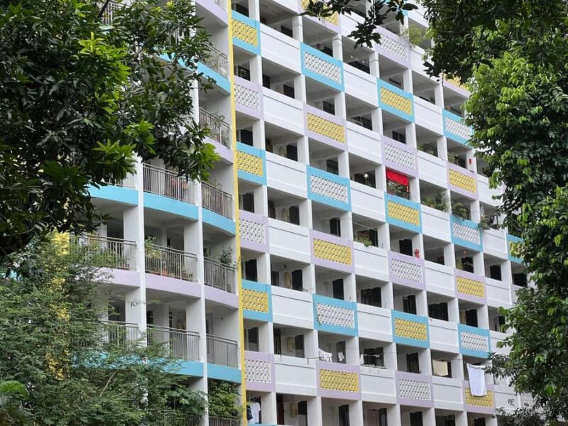 Singapore: Public Housing & Local Life Private Walking Tour - Practical Details & Tips