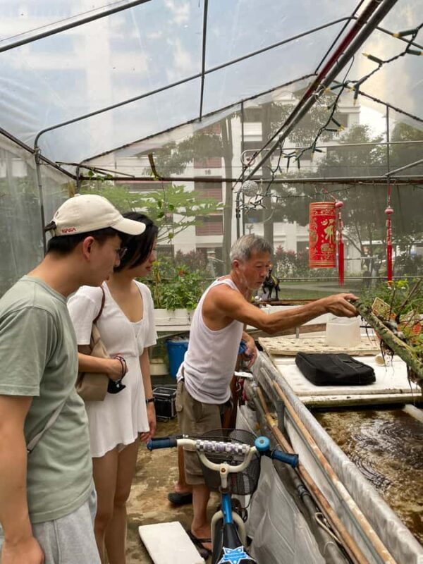 Singapore: Public Housing & Local Life Private Walking Tour - Authentic Insights from Past Travelers