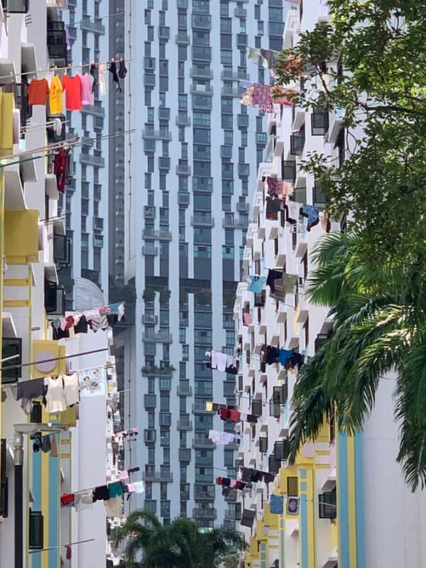 Singapore: Public Housing & Local Life Private Walking Tour - The Value of This Tour