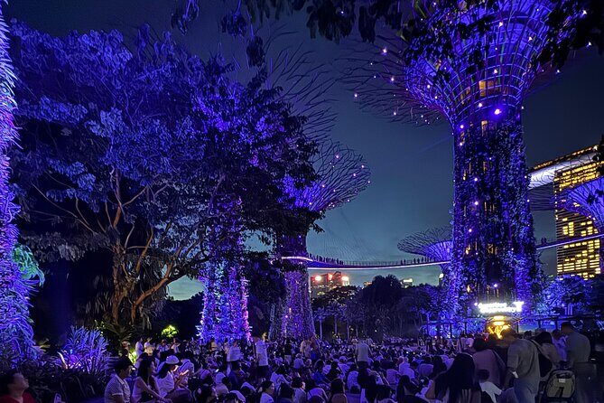Singapore River Cruise, Night Garden Rhapsody and Spectra Tour - Good To Know