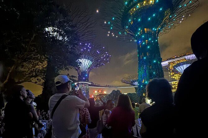 Singapore River Cruise, Night Garden Rhapsody and Spectra Tour - The Practical Details: What to Expect