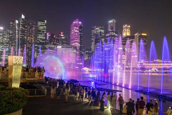 Singapore River Cruise with Spectra & Garden Rhapsody Light Show - Final Thoughts: Who Will Benefit Most?