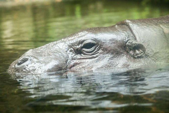 Singapore River & Night Safari-COMBO (Shared Transfer) - Cancellation Policy and Reviews