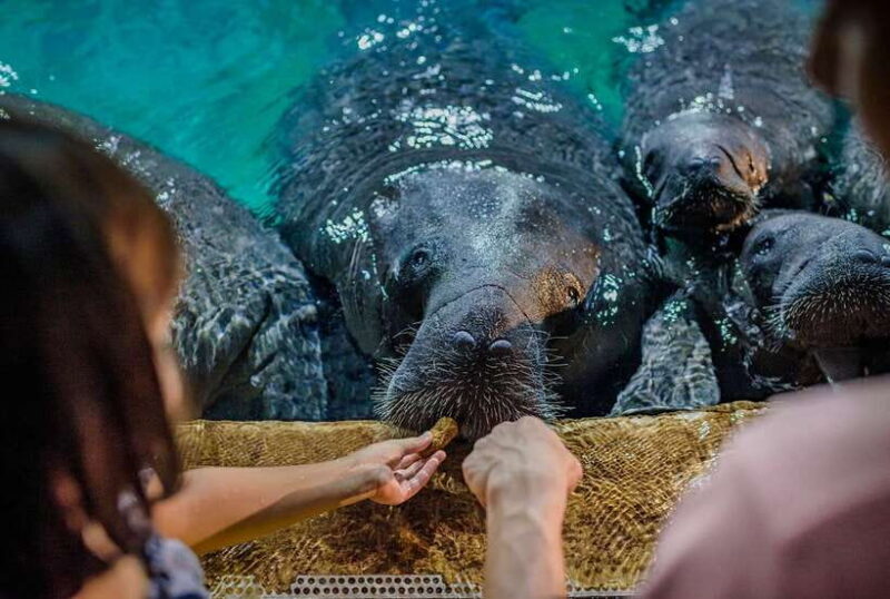 Singapore: River Wonders Entry Ticket - FAQ