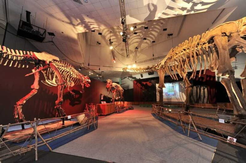 Singapore: Science Center E-Ticket - Practical Tips for Visiting