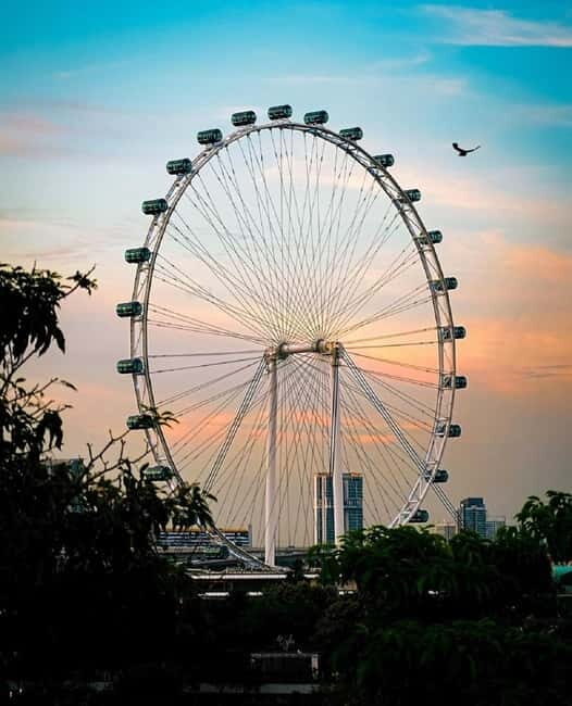 Singapore: Singapore Flyer Entry Ticket with Time Capsule - Good To Know