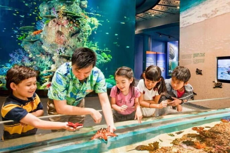 Singapore: Singapore Oceanarium Entrance E-Ticket - FAQ