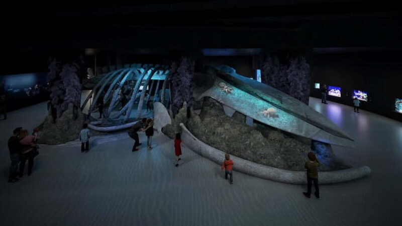 Singapore: Singapore Oceanarium Entrance E-Ticket - How Visitors Rate the Experience