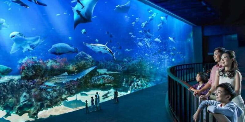 Singapore: Singapore Oceanarium Entrance E-Ticket - Final Thoughts: Is It Worth Visiting?